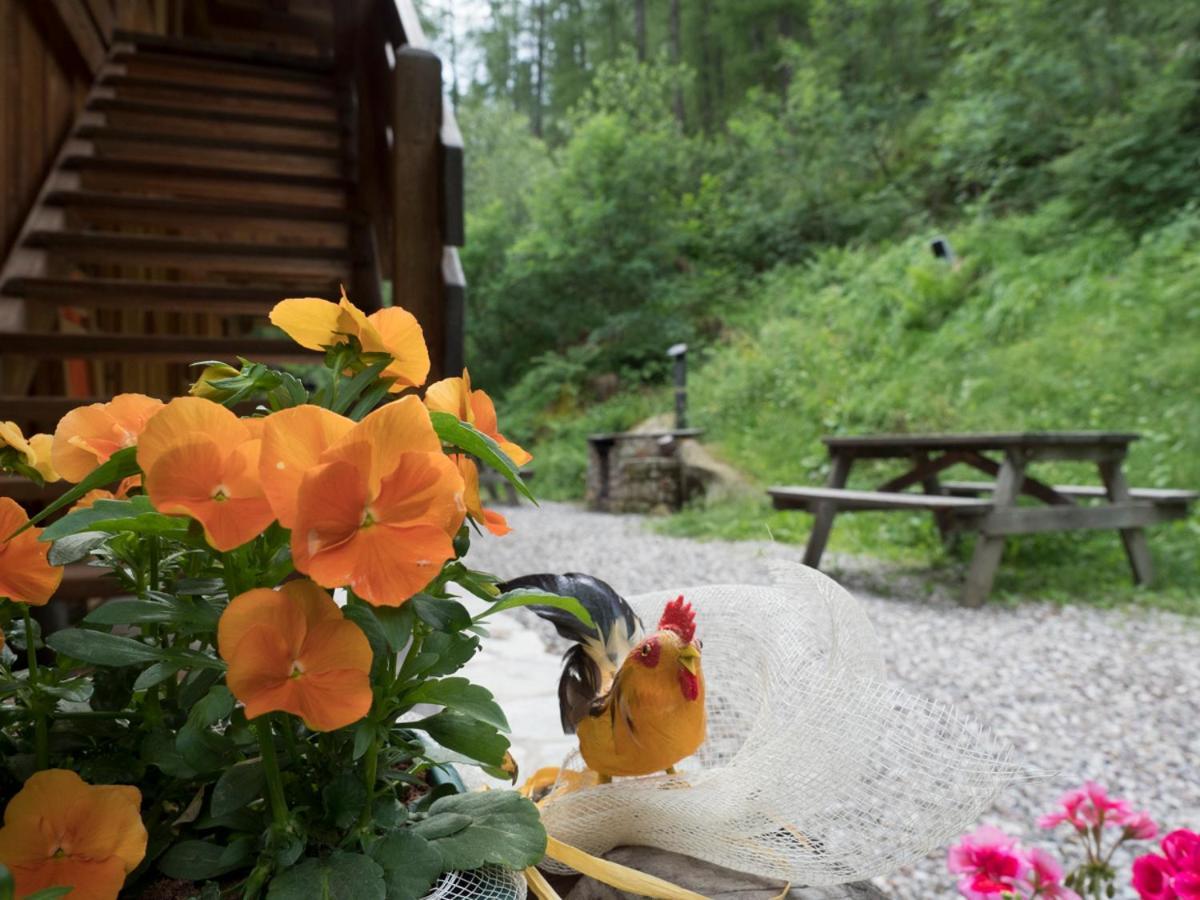 Mas De La Bolp - Chalet Rabbi Esterno foto
